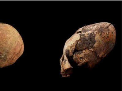 Չինաստանում հայտնաբերվել են ամենահին «ձվանման» գանգերը