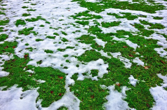 ՌԴ Հիդրոմետկայանը նախազգուշացրել է հանգստյան օրերին սպասվող ձյան մասին