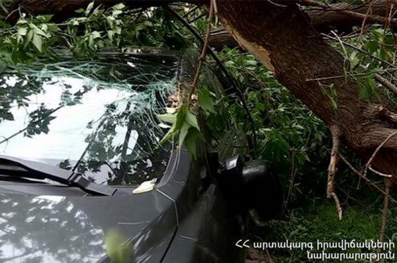 Երևանում ծառը կոտրվել է և ընկել կայանված ամվտոմեքենայի վրա