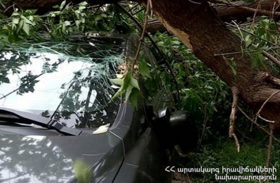 Սևանում ծառը կոտրվել և ընկել է ավտոմեքենայի վրա