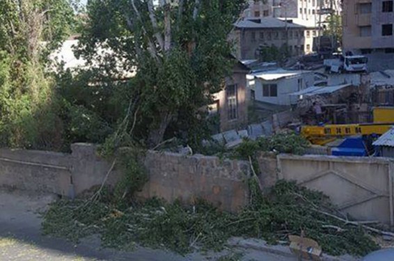 Ահարոնյան փողոցի ծառերը ապօրինի չեն հատվում, դա մի քանի տարի առաջ տրված թույլտվության սահմաններում է. Երևանի քաղաքապետի մամուլի խոսնակ