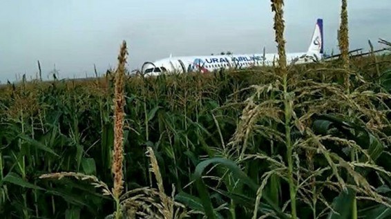 А321 օդանավը վթարային վայրէջք է կատարել Մերձմոսկովյան շրջանի եգիպտացորենի դաշտում