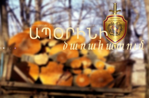 Լանջիկում ապօրինի փայտանյութով մեքենա է հայտնաբերվել. վարորդը մեքենայով հանդերձ բերման է ենթարկվել