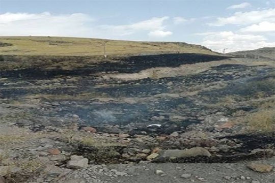Зарегистрировано 50 пожаров на травяных участках в Армении