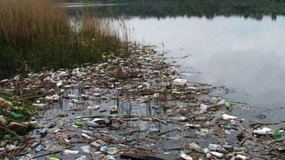 Աղբի մեջ քնած-մնացած ամերիկացին «վերամշակման» է ենթարկվել