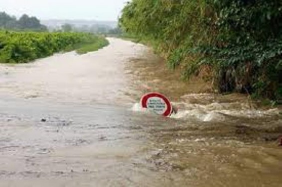 Լուիզիանայում ջրհեղեղի հետեւանքով զոհերի թիվը հասել է 8-ի