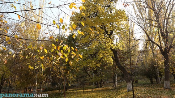 Օդի ջերմաստիճանն աստիճանաբար կնվազի