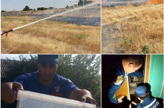 Անցած շաբաթ ԱԻՆ-ում գրանցվել է 485 դեպք, որից  318-ը՝ արտակարգ