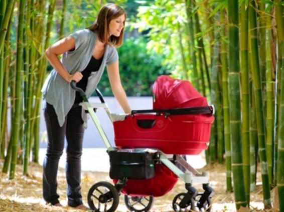 ԱՄՆ-ում բազմաթիվ երեխաներ են ընկնում հեծանիվ-սայլակից կամ փոքրիկներին տեղափոխելու համար նախատեսված պայուսակից