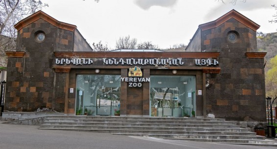 Бродячих собак на территории ереванского зоопарка отлавливают, но не усыпляют
