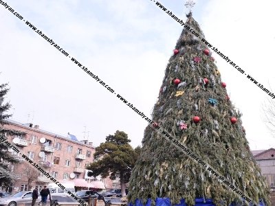 Եղեւնիների սպանդ Արթիկում.Քաղաքացիները կարծում են, որ դրանցով քաղաքի գլխավոր տոնածառն են զարդարել