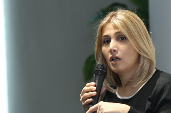 Հանրաքվեն վերածվելու է արմատական պառակտման, թշնամի են հռչակվելու բոլոր նրանք, ովքեր չեն կիսում հանրաքվեի միջոցով ՍԴ դատավորներից ազատվելու «փայլուն» գաղափարը. Էլինար Վարդանյան