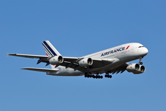 Մուկը երկու օրով հետաձգել է Air France-ի չվերթը