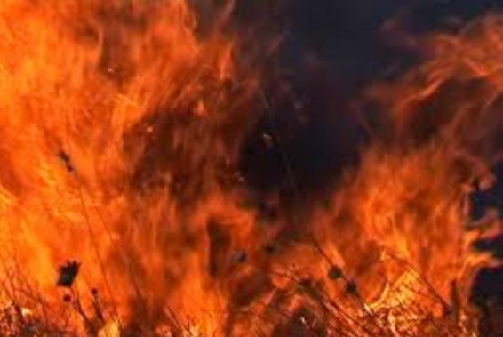 Այրվել է անասնակեր