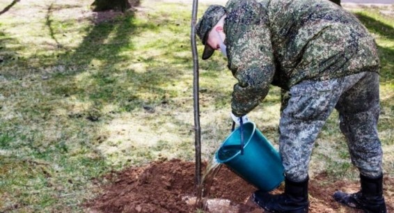 В Армении военнослужащие ЮВО посадили деревья на 
