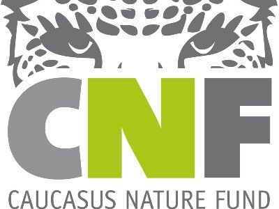 Նոր ֆինանսավորում CNF-ի կողմից՝ Տավուշի մարզի նորահայտ ընձառյուծի պահպանության համար