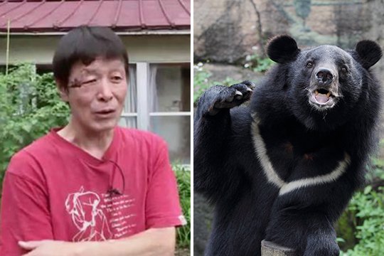 Տարեց ճապոնացին ձեռքերով հաղթել է արջին