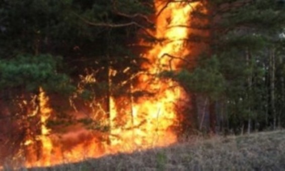 Խոտածածկ տարածքներում առաջացած բոլոր հրդեհները հրշեջ-փրկարարները մեկուսացրել են և մարել