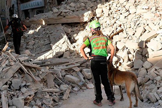 Իտալիայի երկրաշարժի զոհերի թիվը հասել է 296-ի