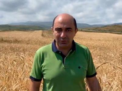 «Գոլոս Արմենիի». Կարտոֆիլային ընդդիմություն