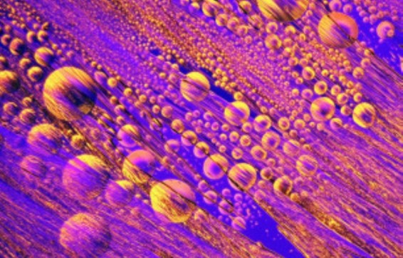 Գիտության գեղագիտական կողմը. ամփոփվել են տարվա լավագույն գիտական լուսանկարները (ֆոտոշարք)