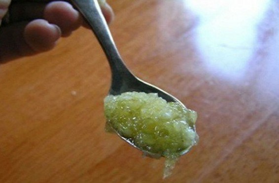 Սխտորն ու մեղրը. հրաշալի բուժիչ միջոց