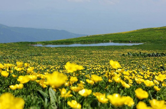 Օդի ջերմաստիճանը կնվազի 5-7 աստիճանով