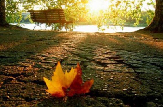 Ինչ եղանակ է սպասվում առաջիկա օրերին