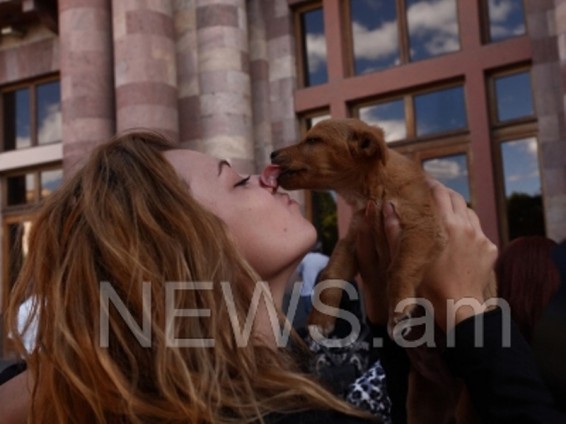 Կենդանասերները Կառավարությունից պահանջում են գումար չտրամադրել «Յունիգրաֆ Իքսին»