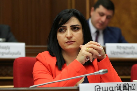 Մարդը պետք է զգա, որ իշխանությունը ոչ թե խոսում է մարդու իրավունքների պաշտպանության մասին, այլ պաշտպանում է դրանք․ սահմանային բնակավայրերում կենսական իրավունքների պաշտպանության խնդիր կա․ Թ. Թովմասյան