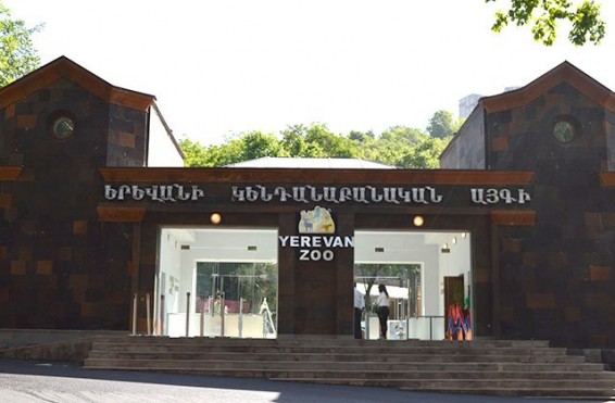 Կենդանաբանական այգու տոմսերի գինը ոչ թե թանկացել է, այլ իրականացվել է գների համահարթեցում. խոսնակ
