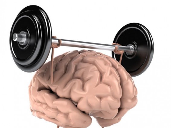 Մթերքներ, որոնք նպաստում են ուղեղի աշխատանքի լավացմանը