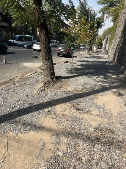 Քրիստինա Վարդանյան. Հաջորդ ամառ, երբ բույսերը զանգվածային կչորանան, նորից ժավելով տեռորիզմից կխոսեք