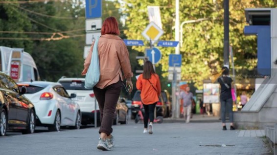 О новшествах и трудностях: в Статкоме Армении рассказали, как проходила перепись - 2022