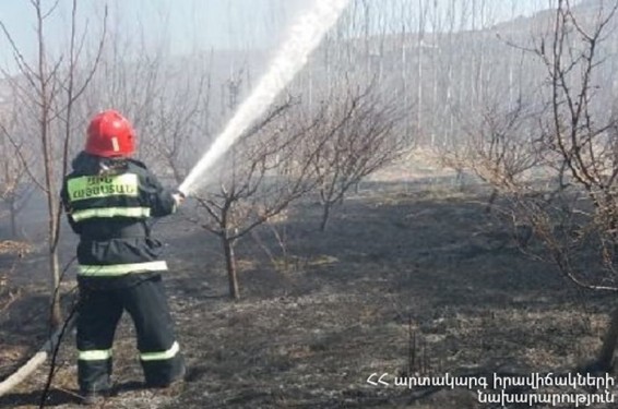 Հրդեհ` Տաշիր-Լեռնահովիտ ավտոճանապարհին