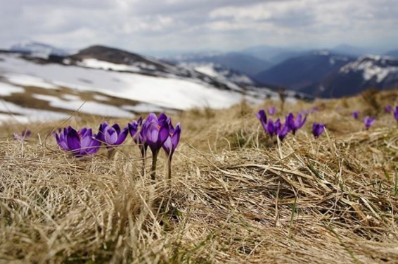 В Армении заметно потеплеет