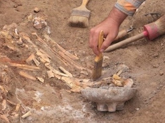 Սիբիրում առաջին անգամ հնագույն թութակի մնացորդներ են հայտնաբերել