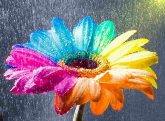 Եղանակը Հայաստանում