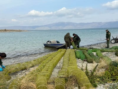 Սևանա լճից դուրս է բերվել 135 հատ խեցգետնորսիչ. վերահսկողությունը շարունակվում է