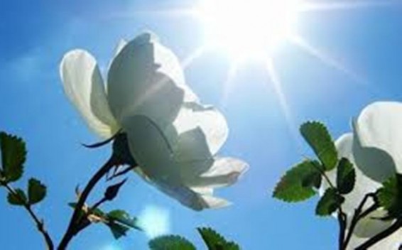 Օդի ջերմաստիճանը կբարձրանա