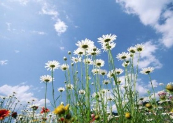 Եղանակը Հայաստանում