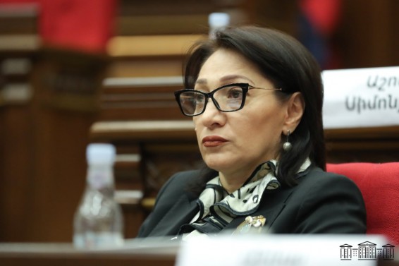 Այս զույգին ՀՀ բյուջեի հաշվին հարկադիր բուժման ուղարկել կամ հանրային վտանգավորությունը հաշվի առնելով՝ մեկուսացնել, բայց մի՞թե սա է ողջ իրականությունը․ Գալստյան