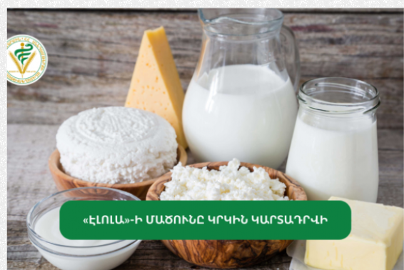 «Էլոլա»-ի մածունը կրկին կարտադրվի