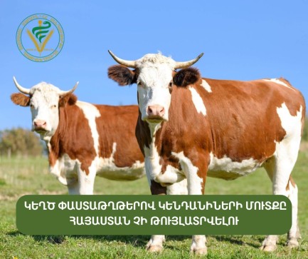 Կեղծ փաստաթղթերով կենդանիների մուտքը հայաստան չի թույլատրվելու