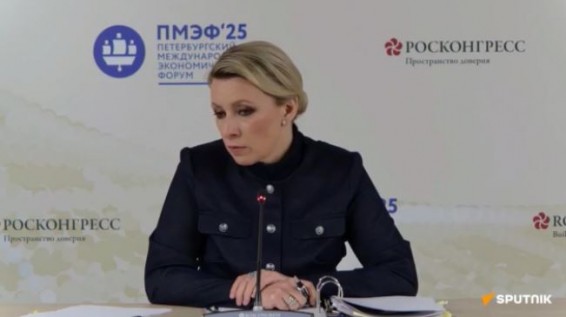Самвелу Карапетяну как гражданину РФ, будет оказано необходимое содействие: Захарова