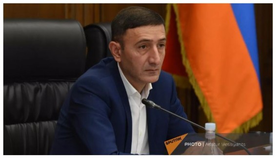 Будет представлен улучшенный проект налогового декларирования в Армении - Тунян