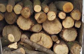 Գորիսի 45-ամյա բնակիչը ներկայացրել է բոխու փայտանյութի ժամկետանց փաստաթուղթ․ բացահայտում