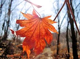 Տեղումները կդադարեն և օրերը կրկին կտաքանան