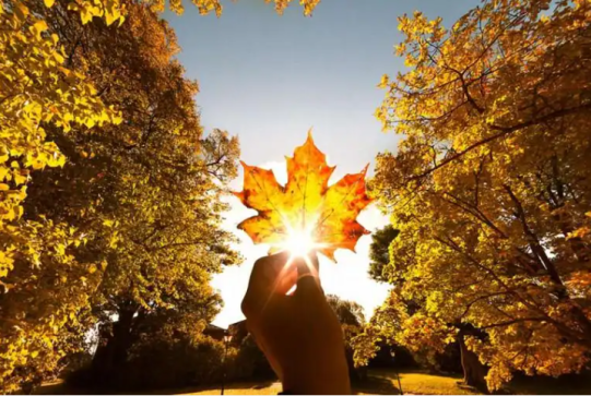 Առաջիկա 3 օրերին ցերեկը սպասվող ջերմաստիճանները կգերազանցեն պատմական առավելագույն արժեքները. Գագիկ Սուրենյան (Տեսանյութ)