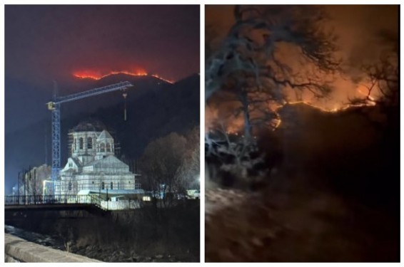 Դիլիջանում կրակը վաղուց մտել է անտառ, միայն խոտածածկ տարածքները չեն. «Բնապահպանի տուն» նախաձեռնության ղեկավարը կոչ է անում կամավորներին միանալ